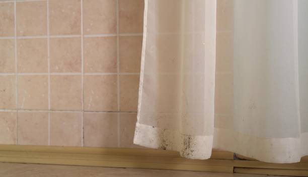 Best Dehumidification Services  in New Hackensack, NY